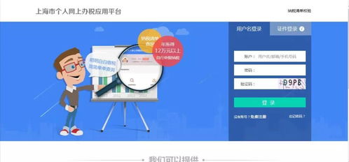 自然人稅收管理系統(tǒng)客戶端生產(chǎn)經(jīng)營申報操作與信息系統(tǒng)運行維護服務指南